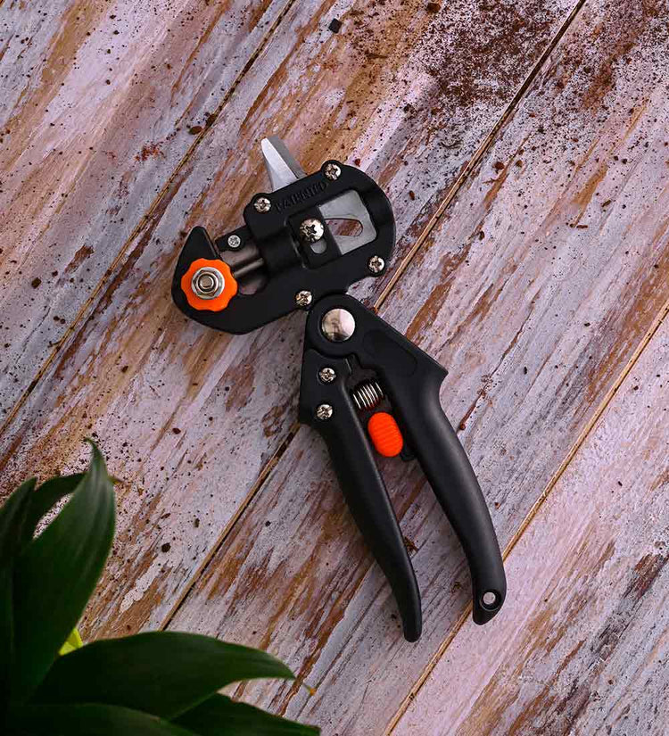 Grafting Master Kit ( 70% OFF Today )